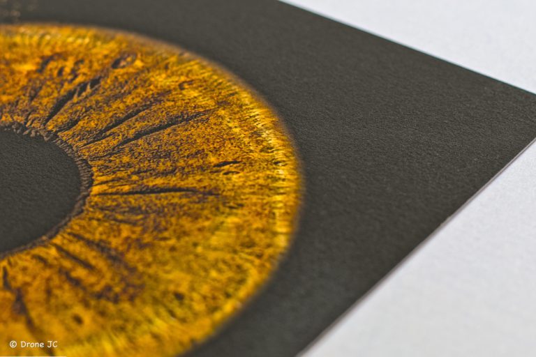 iris-fineart