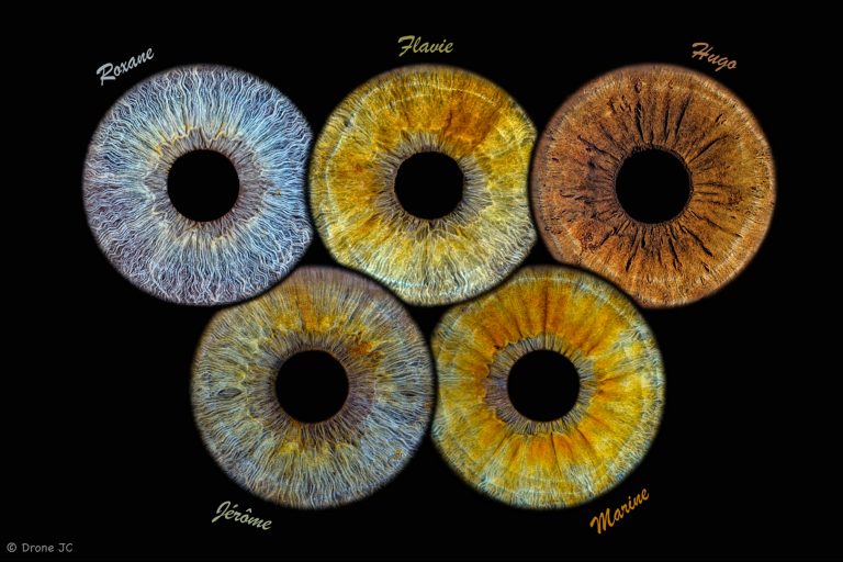 souvenir-iris-famille
