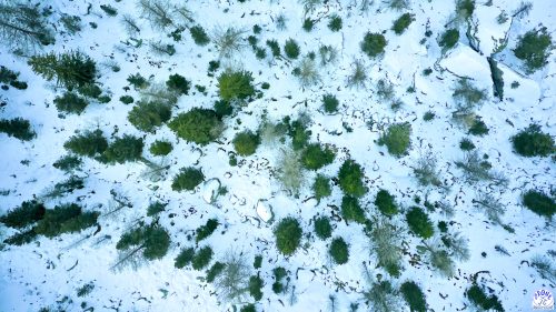neige-drone-topshot